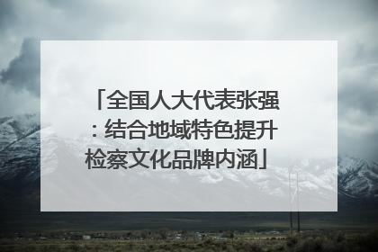 全国人大代表张强：结合地域特色提升检察文化品牌内涵